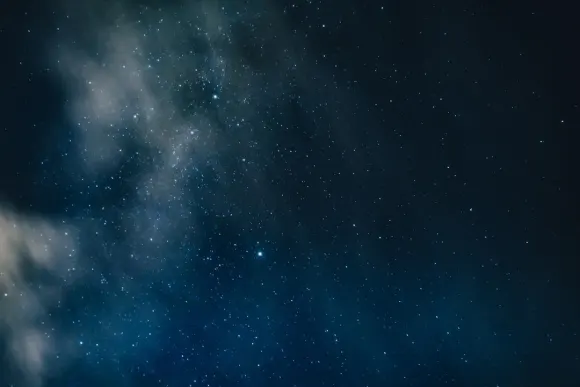 كازينو ويكيد جاكبوتس الدعم